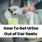 get rid of urine and smell out of car seats
